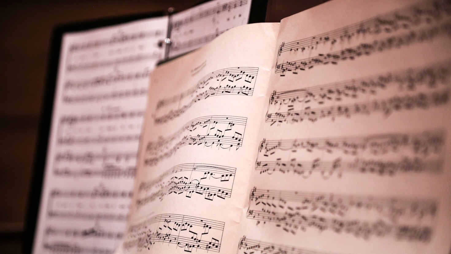 Mastering the Art of Being a Singer and Bassist